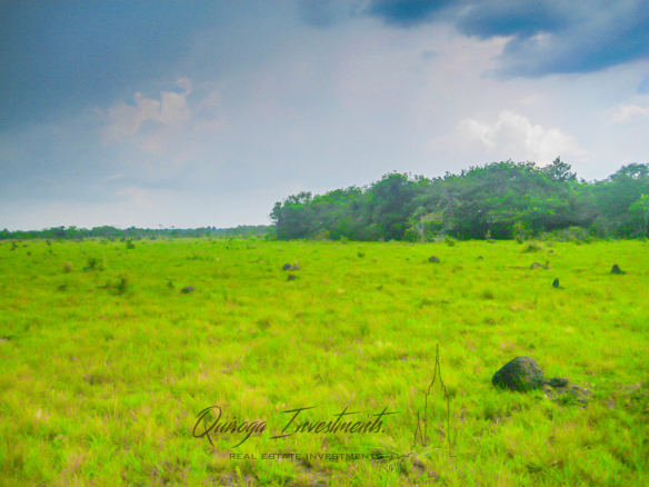 Quiroga Investments Finca Casanare Yopal Tauramena