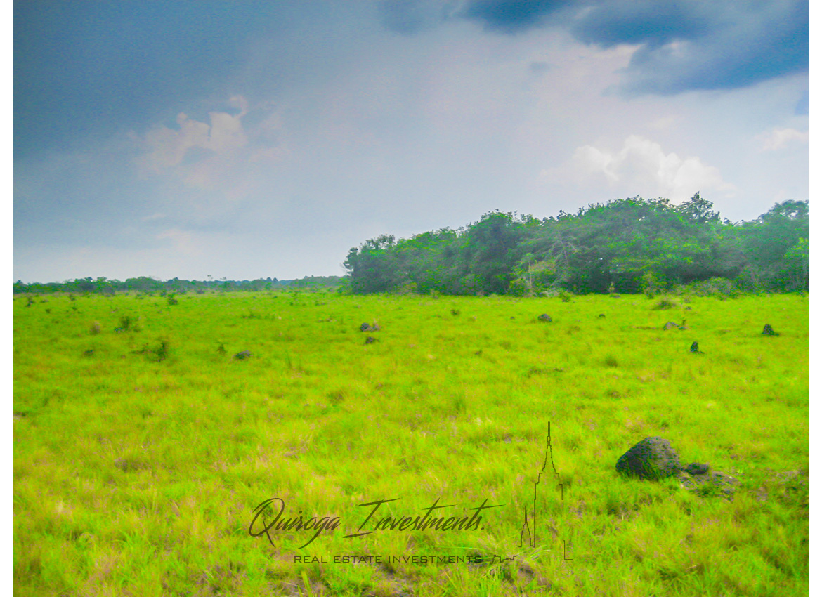 Quiroga Investments Finca Casanare Yopal Tauramena
