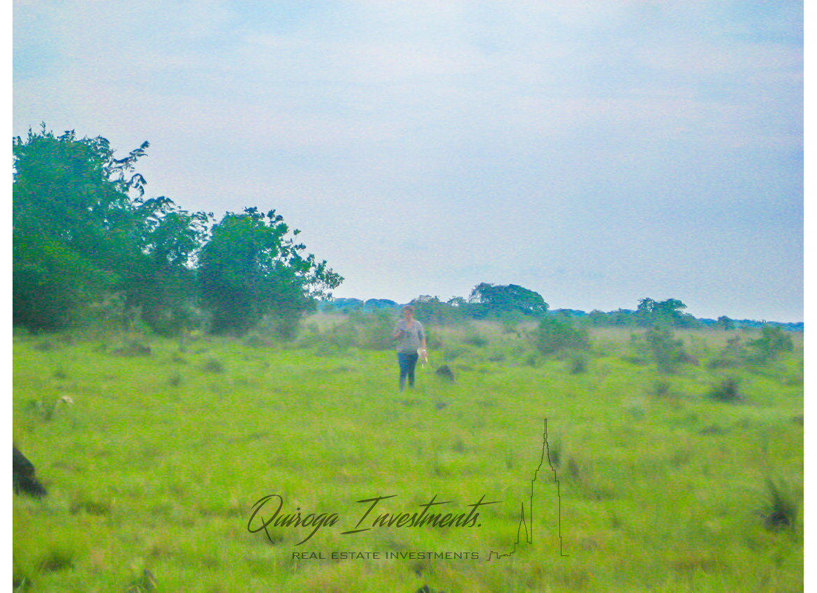 Quiroga Investments Finca Casanare Yopal Tauramena