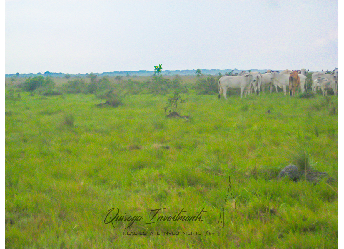 Quiroga Investments Finca Casanare Yopal Tauramena
