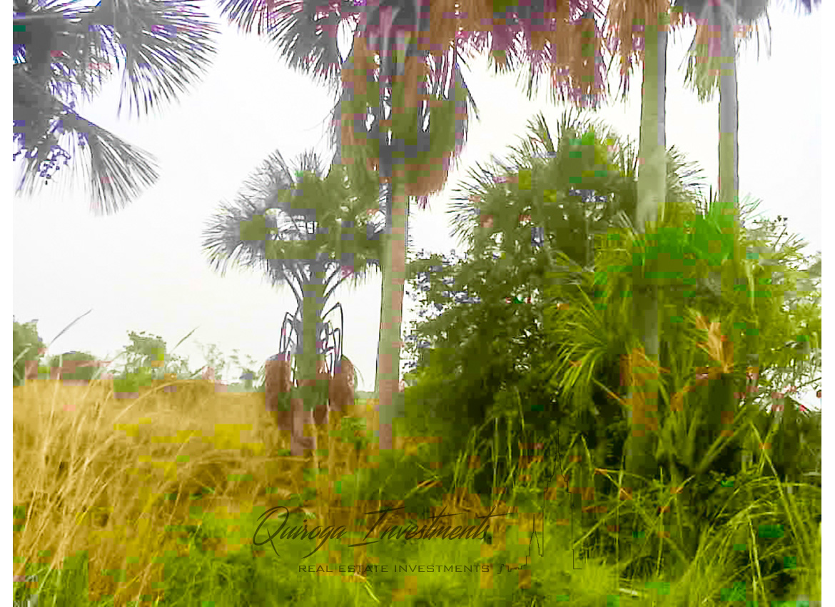 Quiroga Investments Finca Casanare Yopal Tauramena